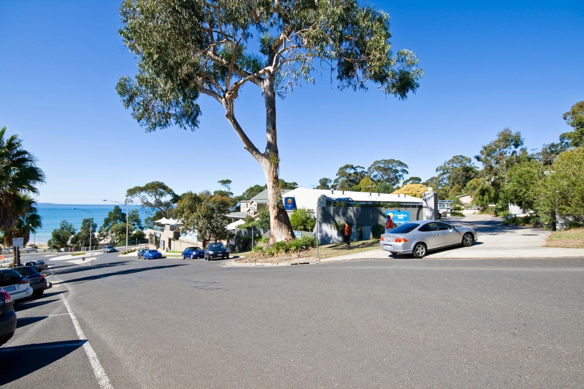 Lorne Bay View Motel ภายนอก รูปภาพ